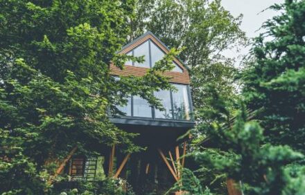 Cozy House with View